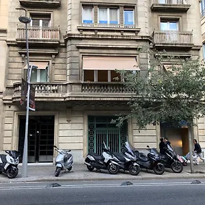 https://somnio-hostels.topbarcelonahotels.com